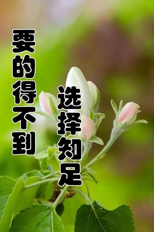 我要坚强