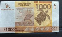 感谢你不一样的爱盛装莅临我的青春