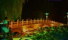 一片夜色进入我的视线