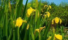 一堂别有情趣的课