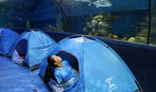 上海夏令营游记