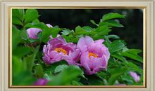 爱，隐没在光阴之外