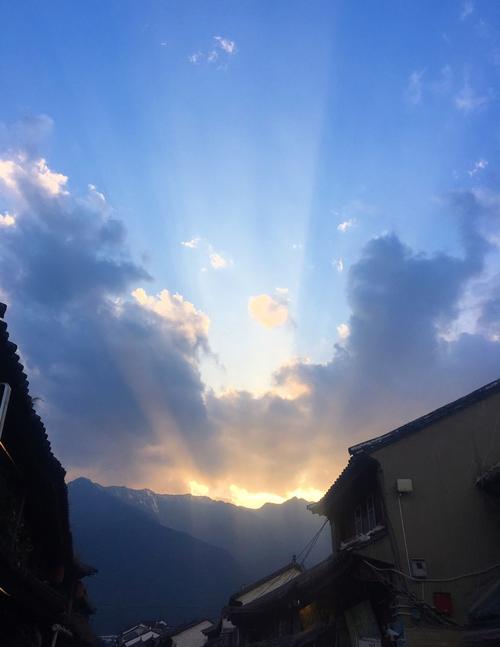 生活需要诗歌