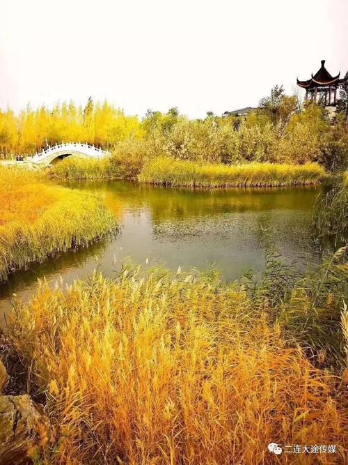 最美丽的在你身边