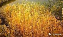 最美的，就在身边