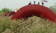 那一抹醉人的鲜艳