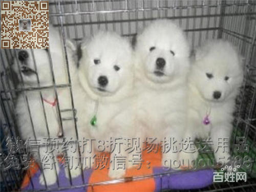 我看到诚信
