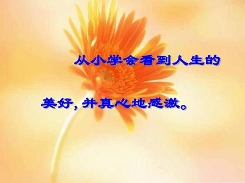 感恩节鲜花盛开在熙熙road的路上