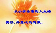 感恩的花开在繁华的路上