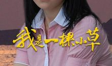 我变成了一株小小草