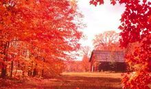 秋天，我要留住你