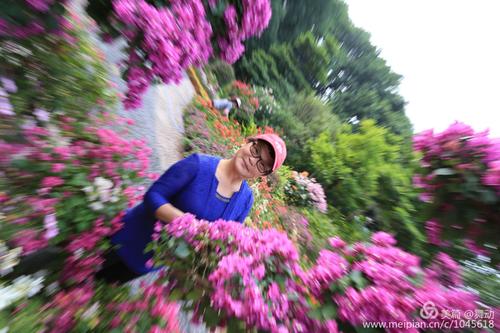 我花的日子