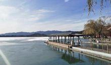 “踏破铁蹄”寻稻草