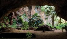 令人惊异的大脑世界