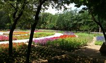 美丽的阿尔丁植物园