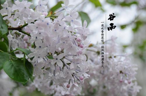快乐的夜晚