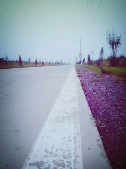 美丽无处不在