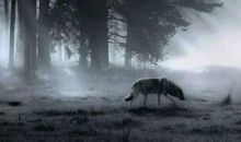 孤独是伟大的必经之路