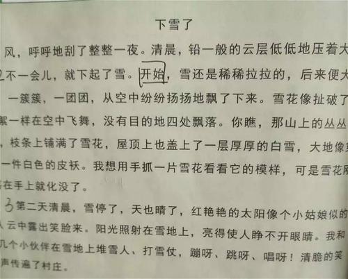 下雪作文二年级
