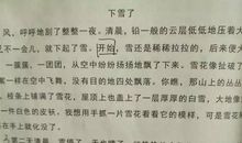 下雪了作文二年级