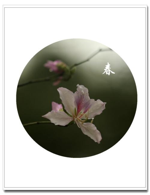 心中的花