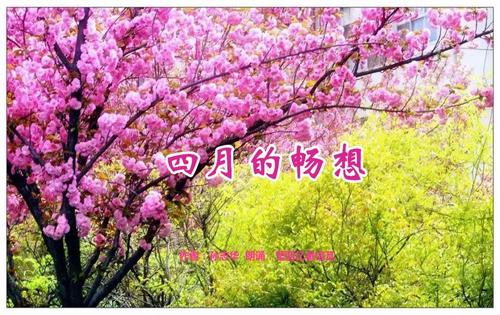 想象在四月