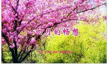 四月的畅想
