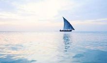 我真想学会让思维转弯