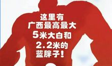 假如我与心中的英雄生活一天