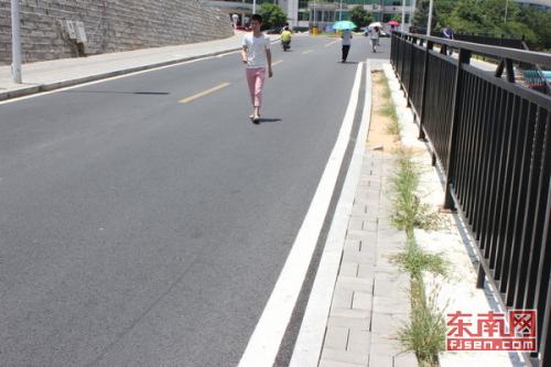 这条路需要人走路