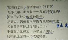 我的极品语文老师