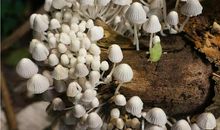 每个人都有优点