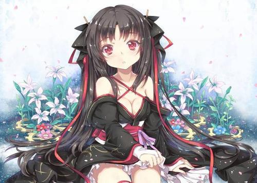 危机？访客Z