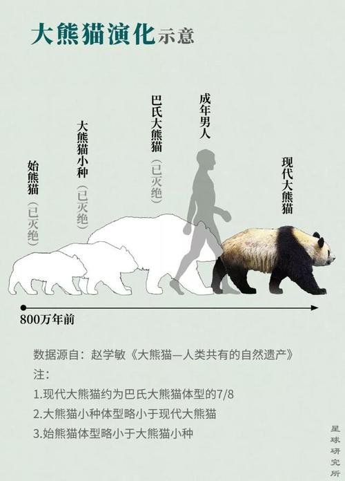那朵花改变了我