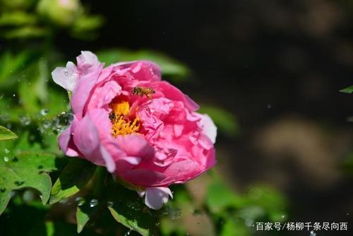 自我反省