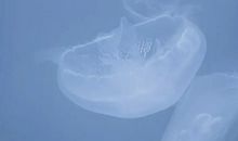 遇见你的那一刻