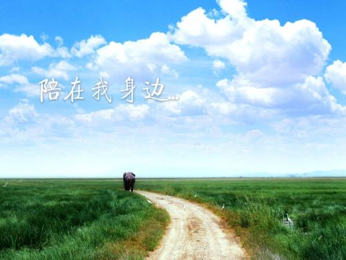 你是我的最爱