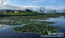 亲近海的感觉真好