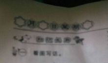 捉迷藏看图写话