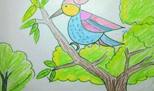 啄木鸟冬天森林超市300字