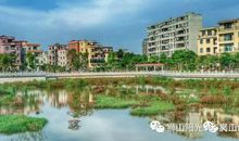 我的家——美丽的家园