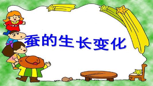 卖蚕