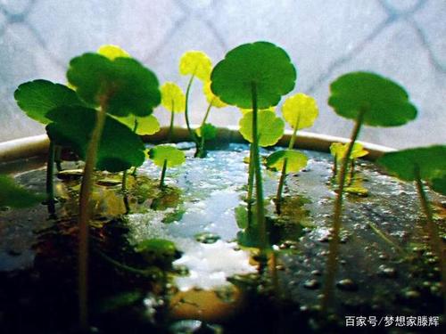 不要让机会过去