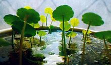 不让机遇擦肩而过