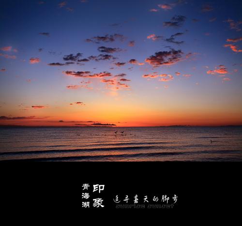 搜索