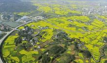 美丽莲乡，我的家园