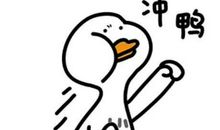 拼搏让我更出彩