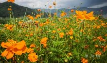 我们一起走过美好时光