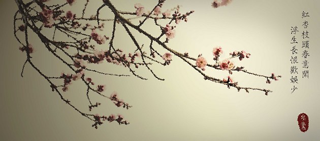春节