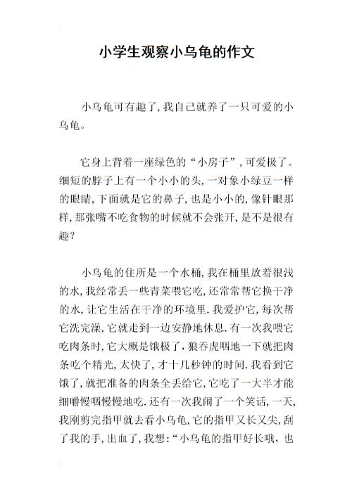 观察日记小乌龟